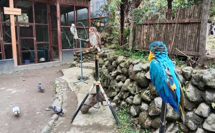 Taman Satwa Kemuning